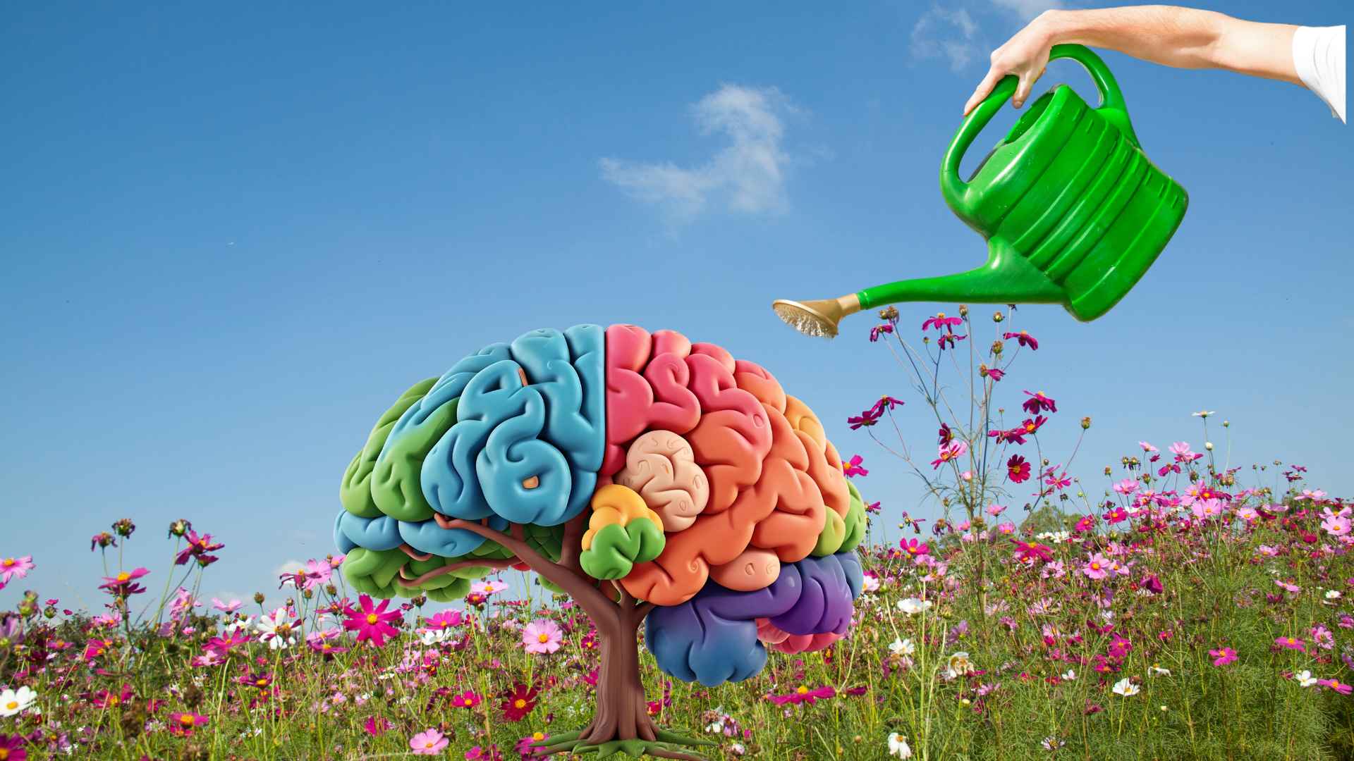 ADHS und Stress: Warum Bewertung wichtiger ist als der Auslöser