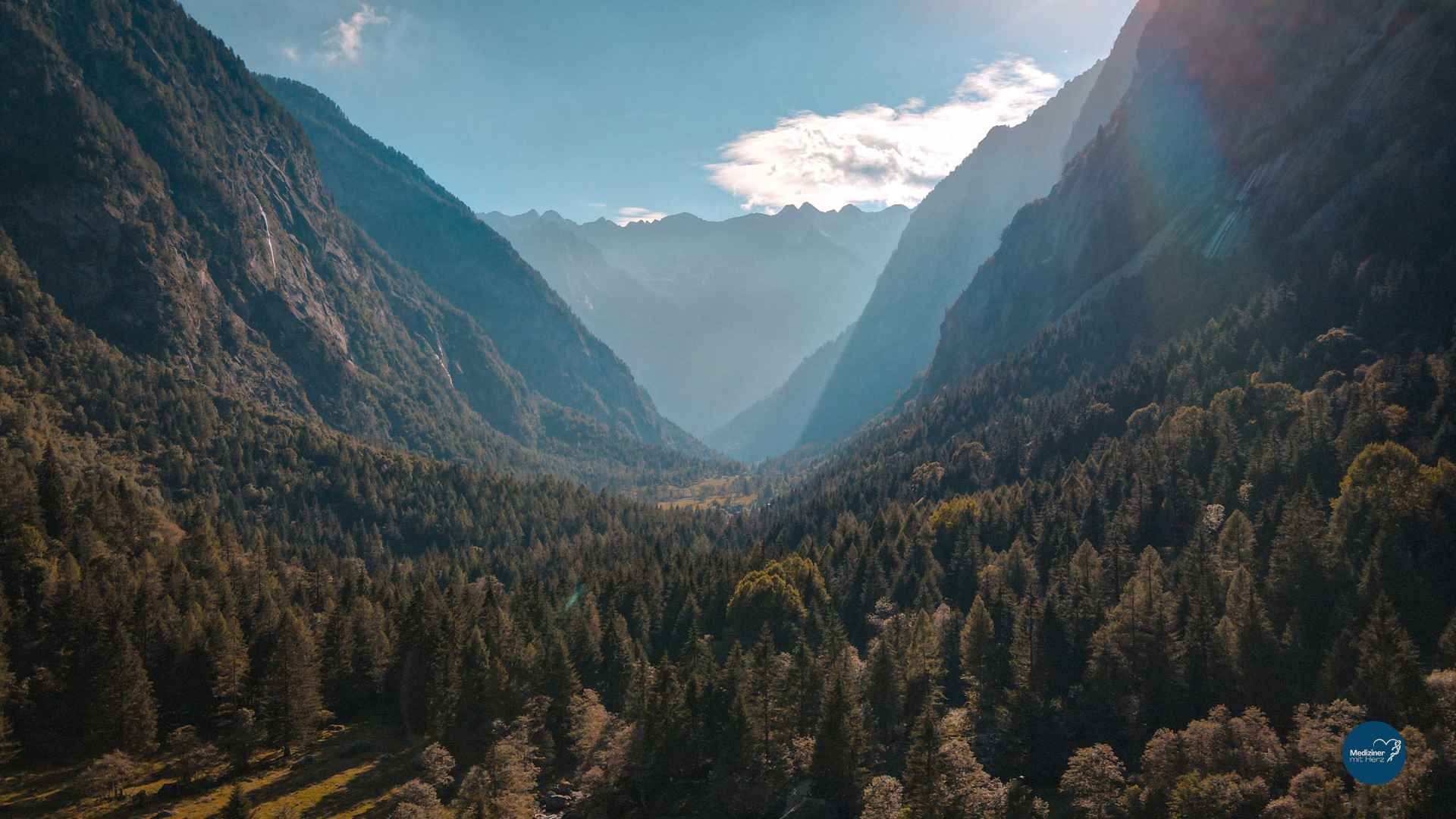 Zwischen Reiz und Reaktion liegt ein Raum. Viktor Frankl